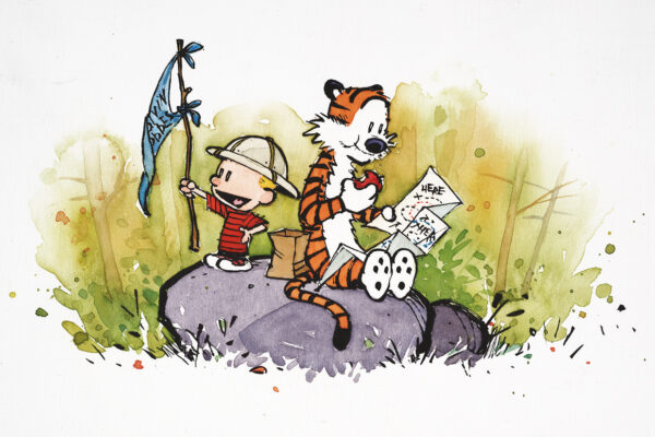 Calvin and Hobbes Forever