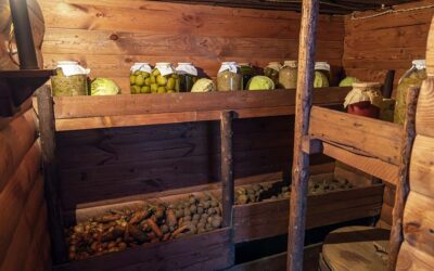 Root Cellar